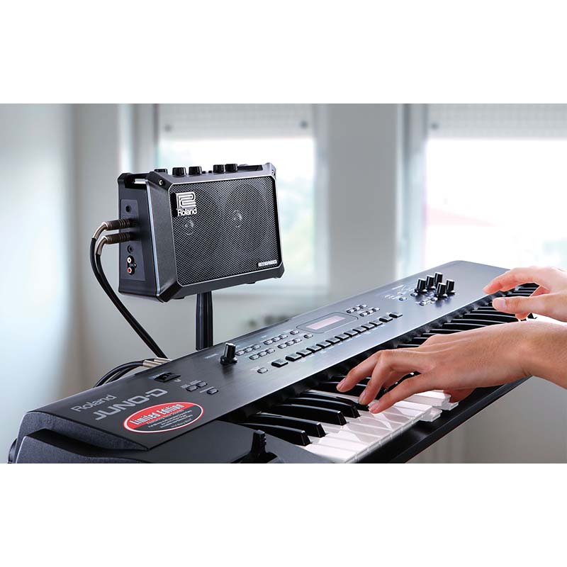 Roland Mobile Cube - Battery Powered Amplifier - Image 6