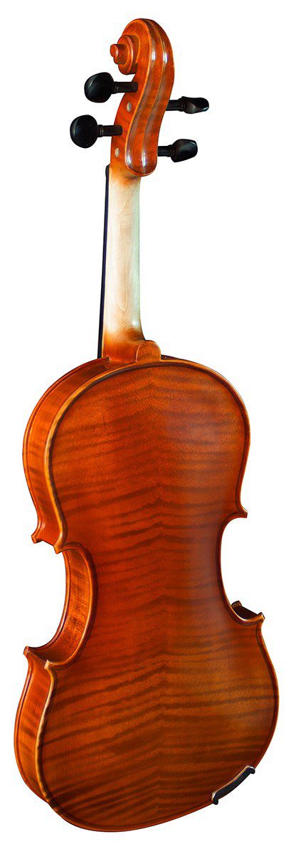 Hidersine Viviente 4/4 Violin Outfit - Image 3