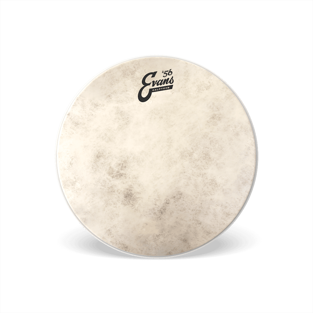 Evans 13" Calftone Drumhead