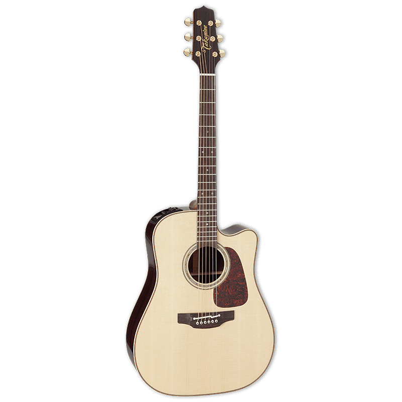 Takamine Pro Series P5DC - Natural