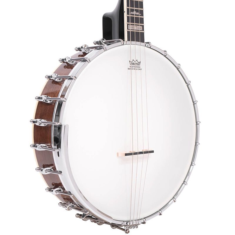 Gold Tone IT-250 Irish Tenor Banjo - Image 2