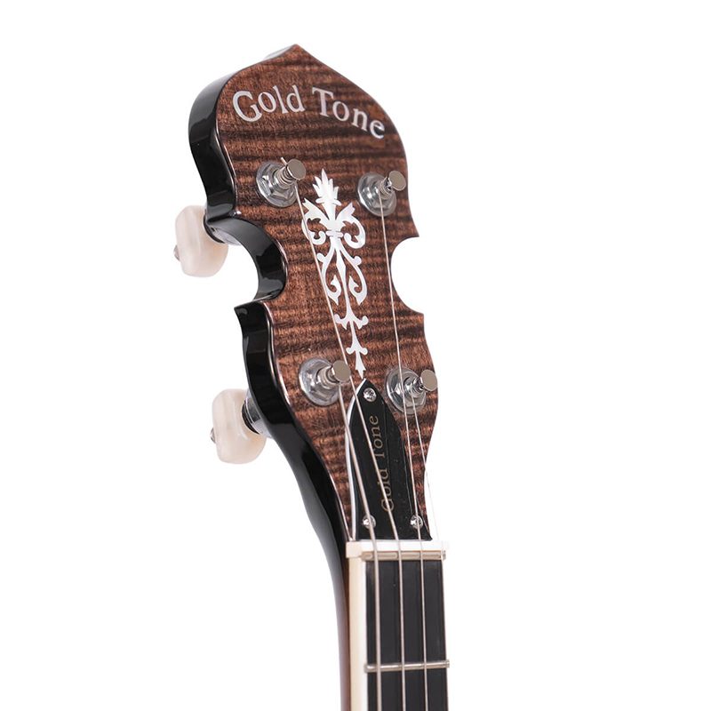 Gold Tone IT-250 Irish Tenor Banjo - Image 4