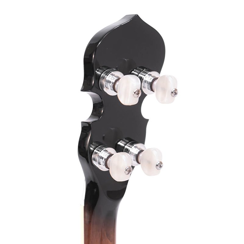 Gold Tone IT-250 Irish Tenor Banjo - Image 5
