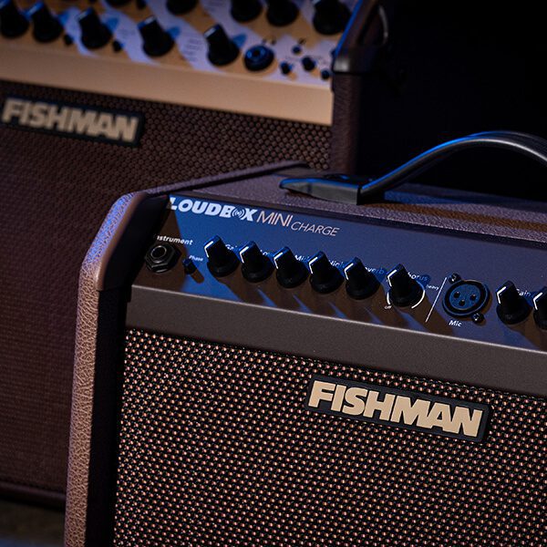 Fishman Loudbox Mini Charge - Acoustic Amplifier w/Rechargeable Battery - Image 7