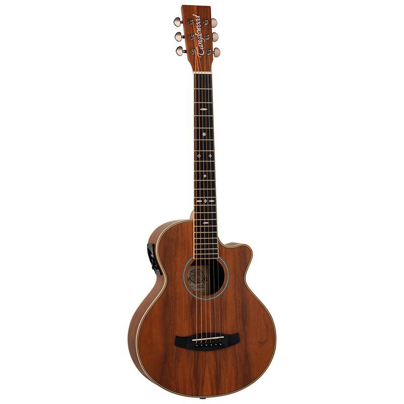 Tanglewood TRU2CEAW - Travel Size Electro Acoustic Guitar - Black Walnut