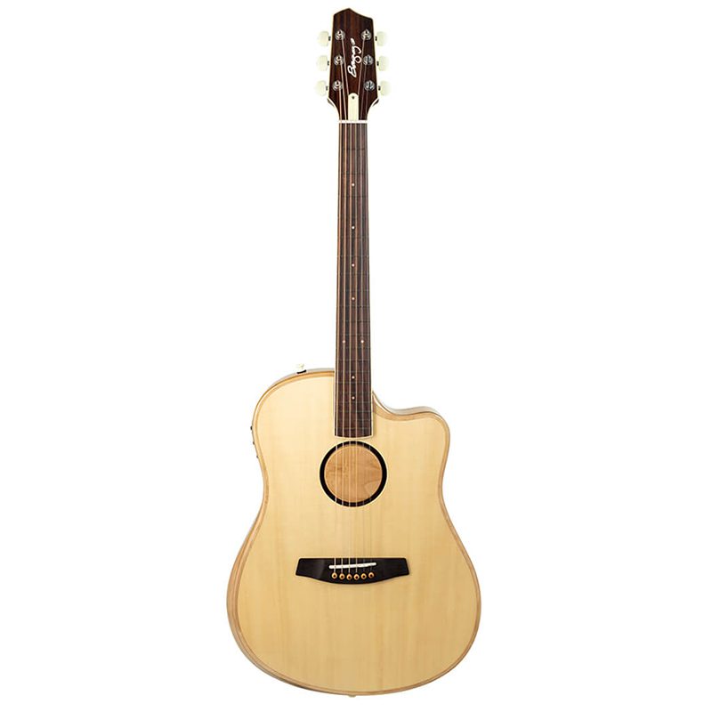 LR Baggs AEG-1 Acoustic-Electric Guitar