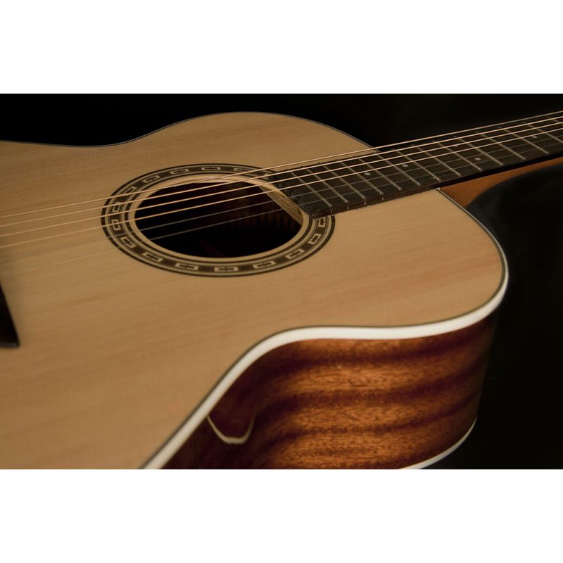 Washburn Harvest G7S - Image 6