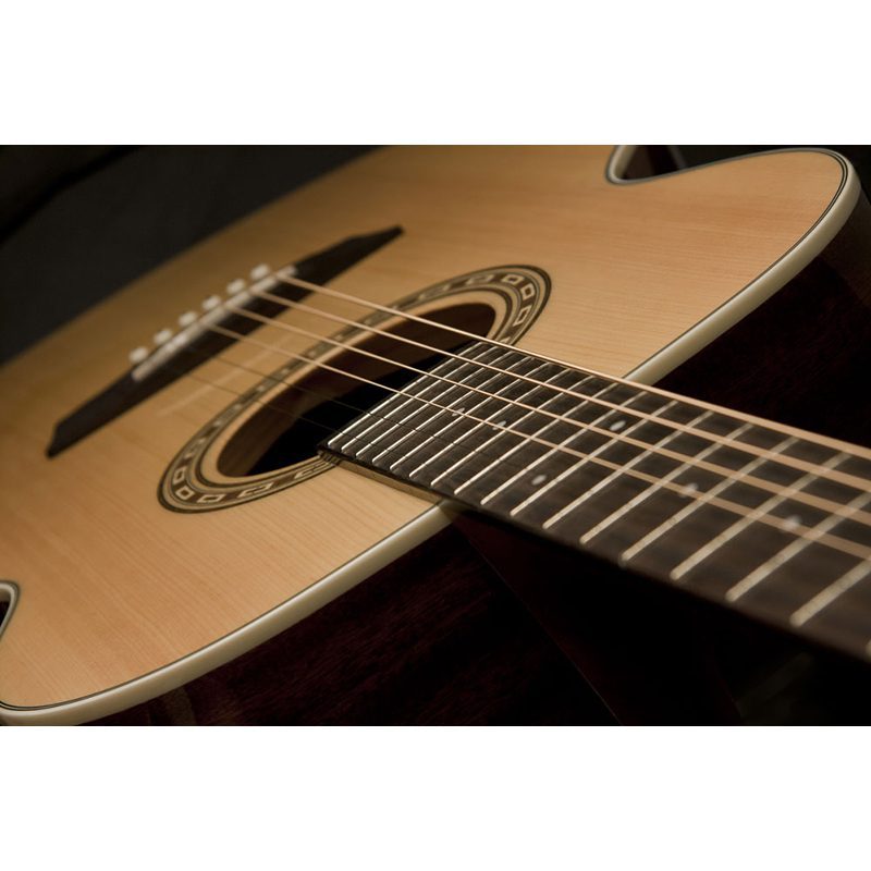 Washburn Harvest G7S - Image 5