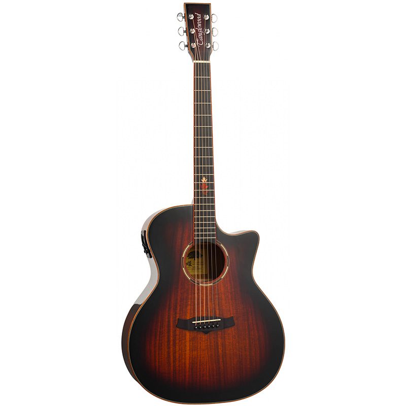 Tanglewood Winterleaf Exotic TWX6CEK - Grand Auditorium Electro-Acoustic