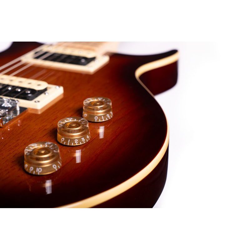Washburn Raven R5TS - Wing Series - Tobacco Sunburst - Image 6