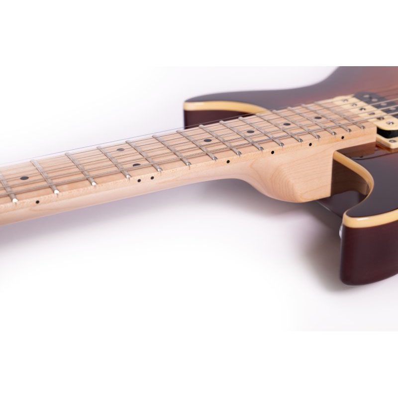 Washburn Raven R5TS - Wing Series - Tobacco Sunburst - Image 4