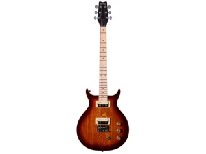 Washburn Raven R5TS - Wing Series - Tobacco Sunburst
