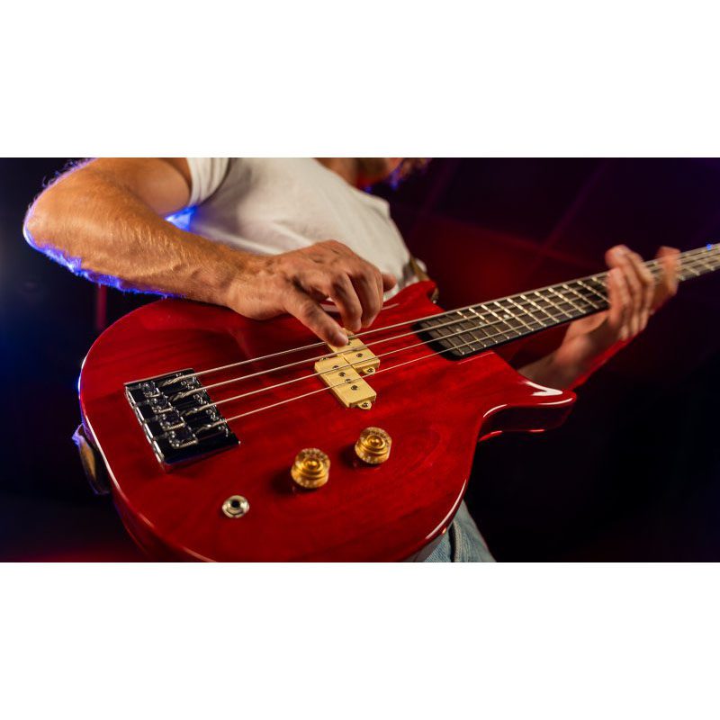 Washburn Scavenger Bass - Wing Series - Trans Red - Image 2