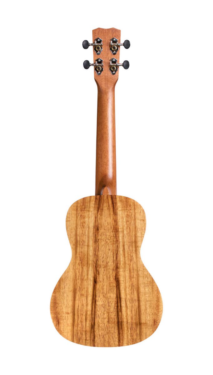 Cordoba 28C Concert Ukulele - Image 2