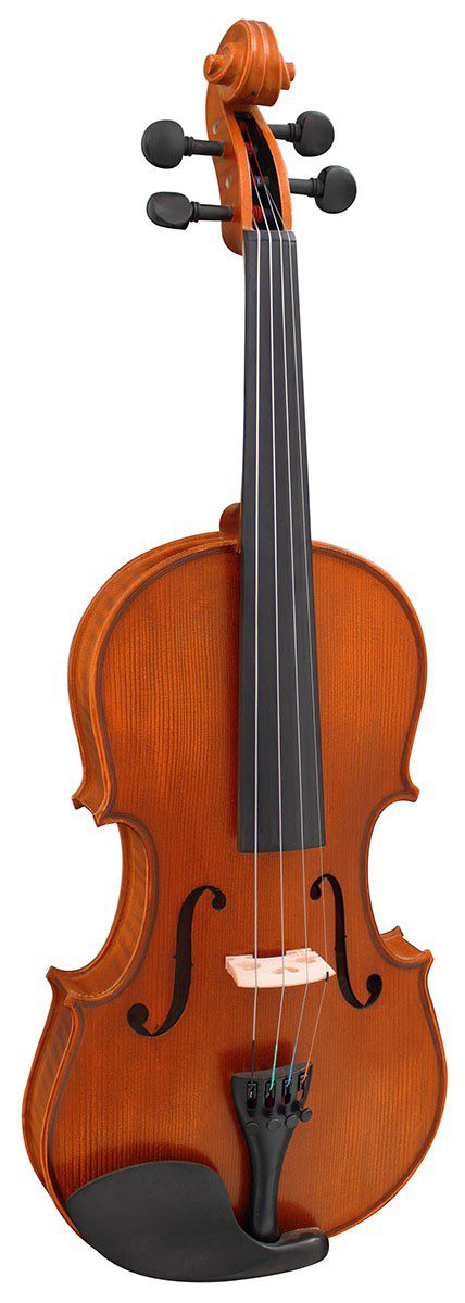 Hidersine Viviente 3/4 Violin Outfit - Image 2