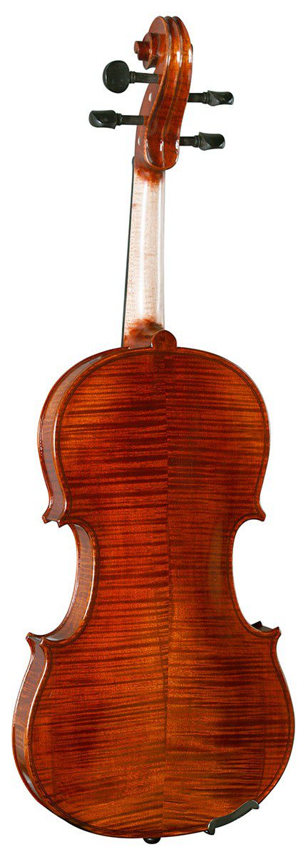 Hidersine Piacenza 4/4 Violin Outfit - Image 4