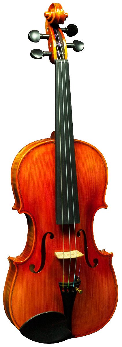Hidersine Nobile 4/4 Violin - Stradavari Design