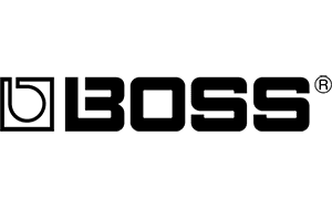 BOSS_logo copy