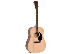 Ditson D-10 Dreadnought Acoustic