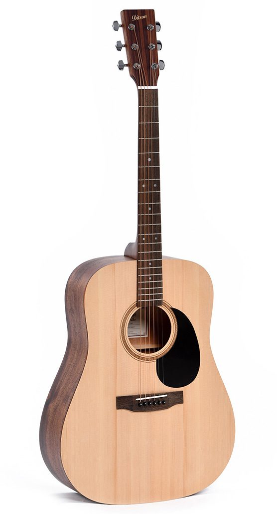 Ditson D-10 Dreadnought Acoustic