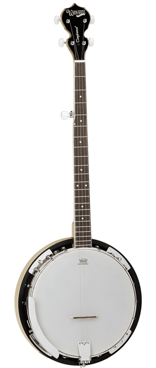 Tanglewood TWB 18 M5 5-String Banjo - Image 2