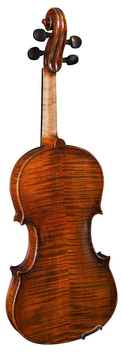 Hidersine Venezia 4/4 Violin Outfit - Image 3
