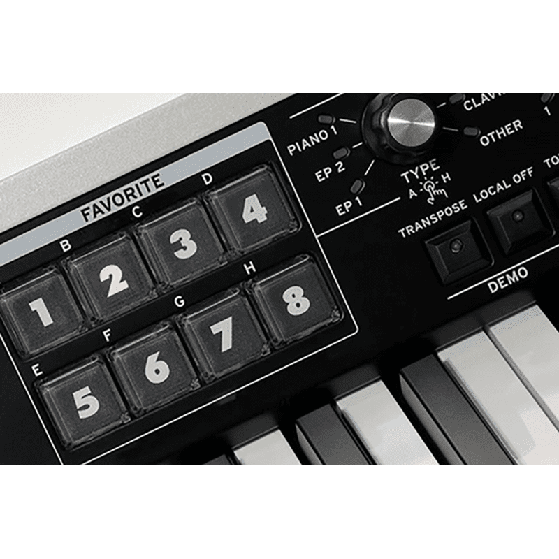 KORG SV-2 73 | 73-Key Stage Vintage Keyboard - Image 3