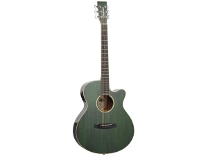 Tanglewood Winterleaf TW4 E FG - Green Gloss