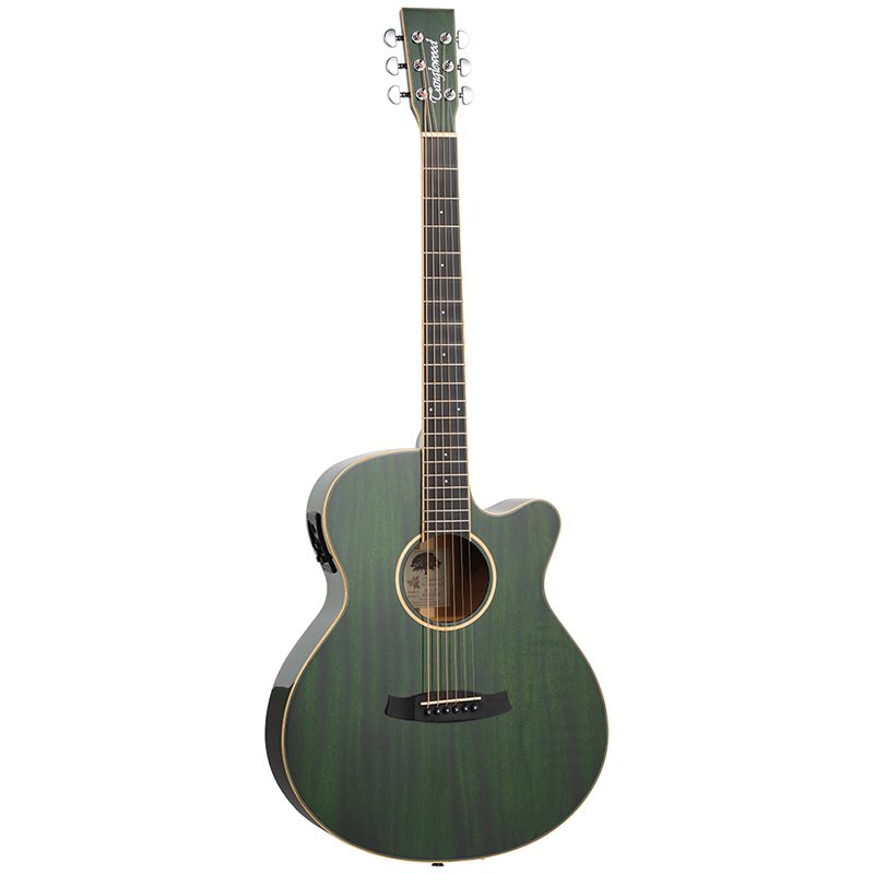 Tanglewood Winterleaf TW4 E FG - Green Gloss