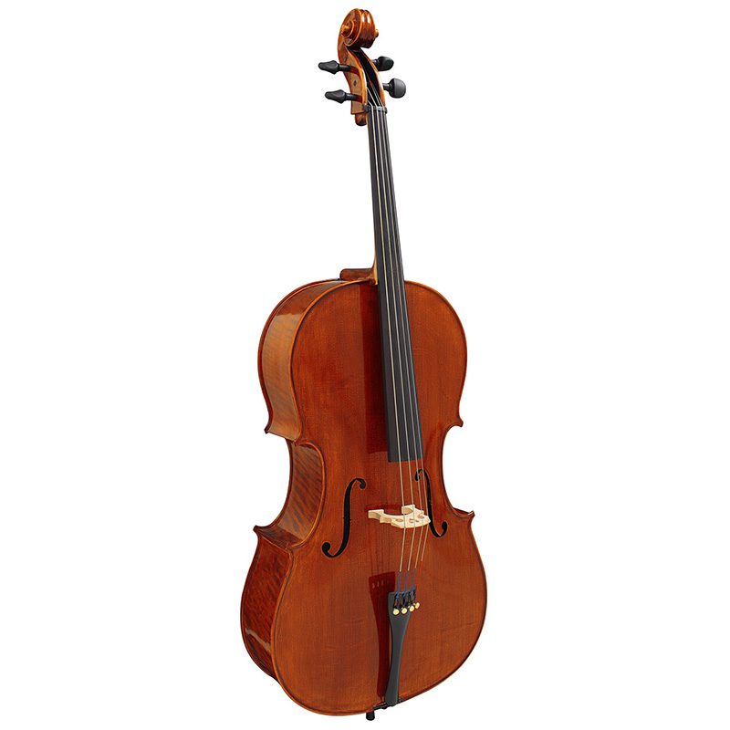 Hidersine Piacenza 4/4 Cello Outfit - Image 3