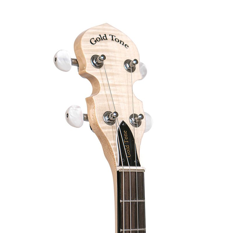 Gold Tone Cripple Creek Irish Tenor Banjo - Image 4