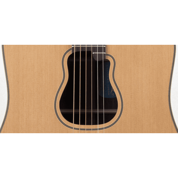 Takamine Signature Series GB7C - Garth Brooks - Image 7