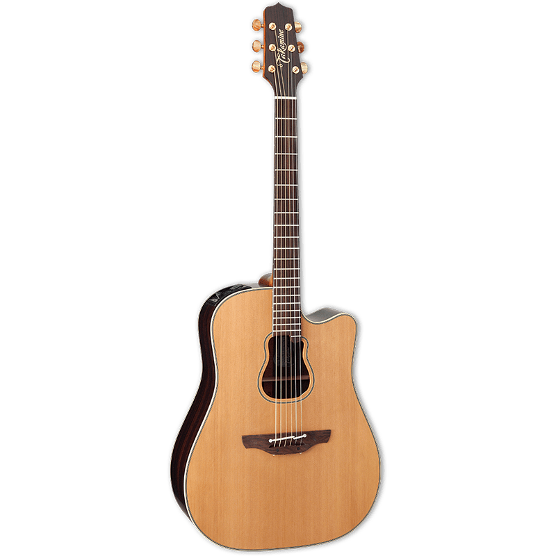 Takamine Signature Series GB7C - Garth Brooks