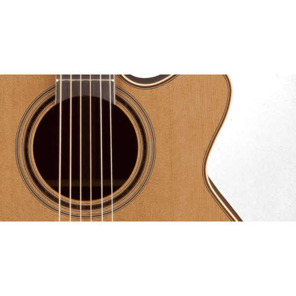 Takamine Pro Series P3NC Cutaway NEX/Grand Auditorium - Natural - Image 7