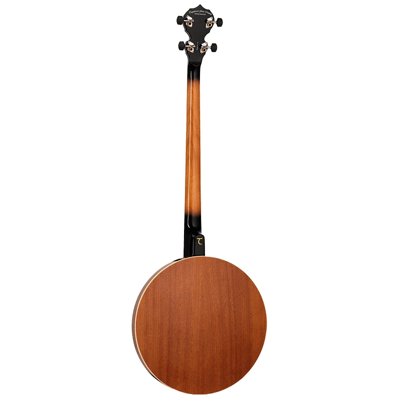 Tanglewood TUB4-17 - 17 Fret Tenor Banjo - Image 3
