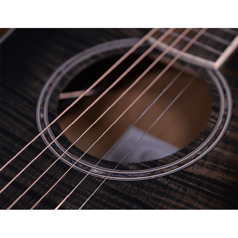 Crafter Noble - Electro-Acoustic - Transparent Black Sunburst - Image 6