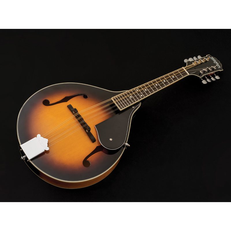 Washburn Americana M1 Mandolin Pack - Image 8