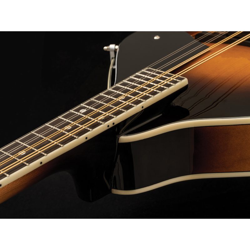 Washburn Americana M1 Mandolin Pack - Image 4