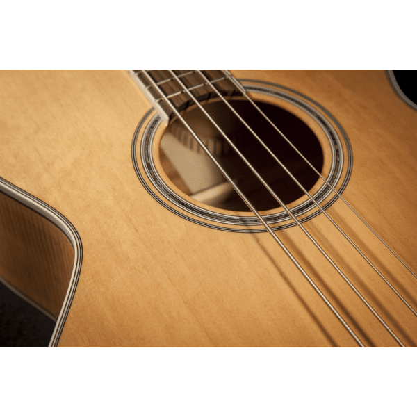 Takamine GB72CE - Acoustic Bass - Natural - Image 2
