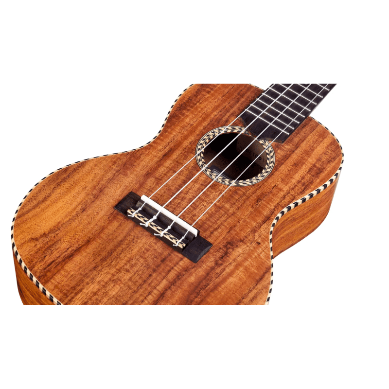 Cordoba 25T Tenor Ukulele - Image 5