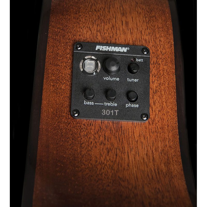 Washburn Woodline Series - O12SE - Natural - Image 6