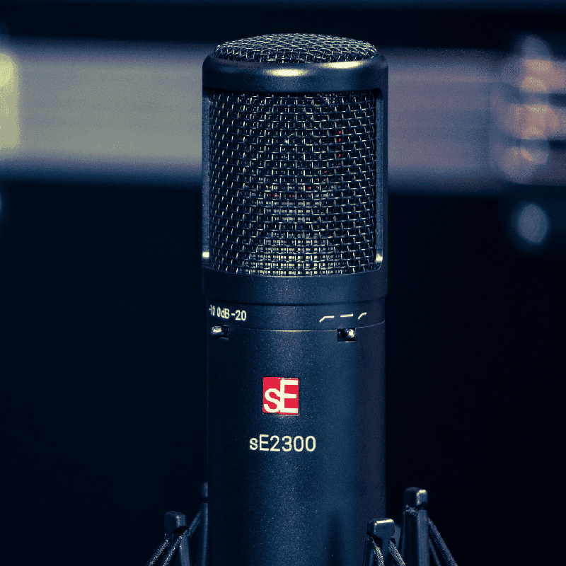 sE Electronics SE2300 - Multi-Pattern Large Diaphraghm Condenser Microphone - Image 2